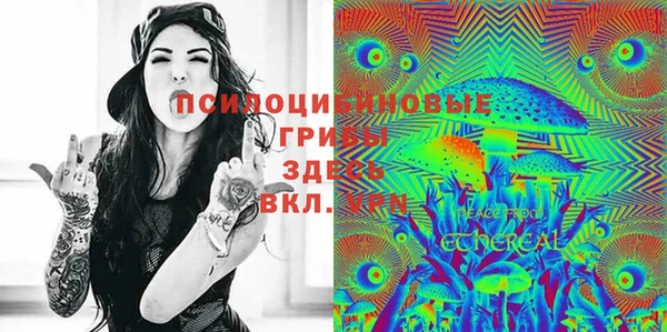 прущая мука Осташков