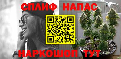 ГАЛЛЮЦИНОГЕННЫЕ ГРИБЫ Бийск