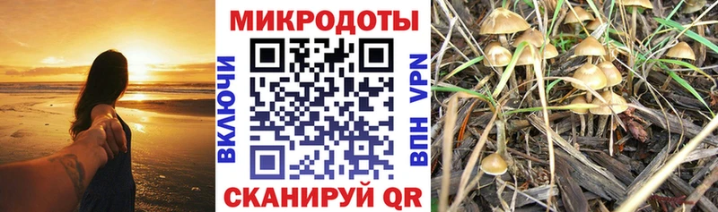 Псилоцибиновые грибы Cubensis  KRAKEN онион  Кузнецк 