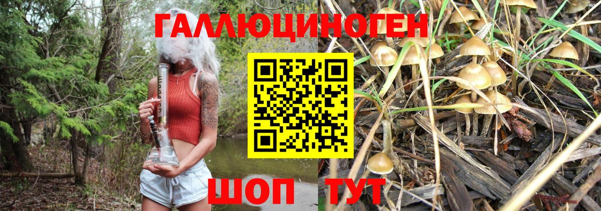 Галлюциногенные грибы мицелий Кузнецк