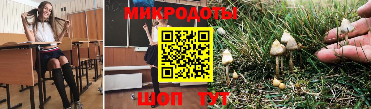 Псилоцибиновые грибы GOLDEN TEACHER Кузнецк